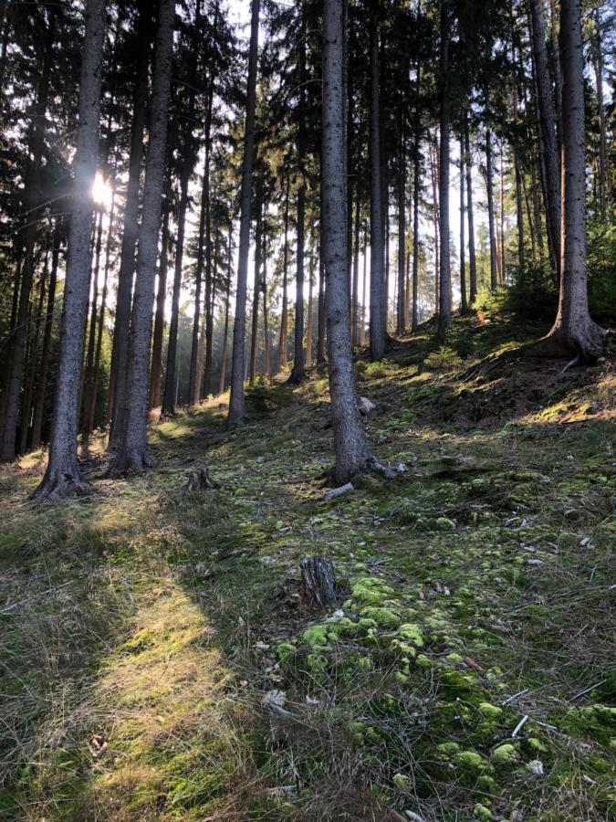 Chata Prachov**** Jičín Esterno foto